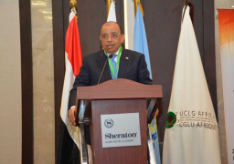 شعراوي: مصر تضع كامل خبرتها وإمكانياتها فى خدمة الأشقاء الأفارقة