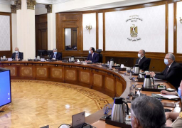 رئيس الوزراء يتابع مشروع التنمية الزراعية “الدلتا الجديدة لمصر”