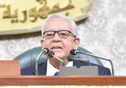 رئيس «النواب»: نقف جميعا خلف القيادة السياسية لحماية حقوق الشعب المصري في مياه النيل