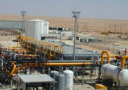 البترول: جار تنفيذ 3 مشروعات صناعية جديدة للبتروكيماويات باستثمارات 8 مليارات دولار