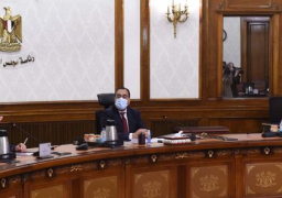 رئيس الوزراء يتابع مخططات تطوير الطرق والمحاور المرورية بمحافظة الجيزةمدبولى يُكلف بإعداد عرض متكامل لمخططات تطوير المحاور والطرق بغرب القاهرة الكبرى وتكلفة التنفيذ لعرضه على الرئيس