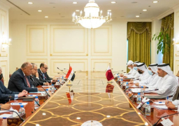 وزير الخارجية يلتقي نظيره القطري في مستهل زيارته للدوحة