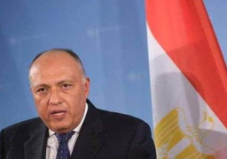 شكرى يؤكد مجددا دعم مصر للعراق