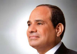 السيسي يوجه بتحرك مصري سريع لتحقيق الاستقرار في المناطق الفلسطينية