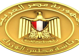 منظومة الشكاوى الحكومية تزيل أسباب شكاوى المواطنين فى عدة قطاعات