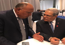 شكري يبحث مع نظيره التونسي سبل تعزيز أوجه التعاون