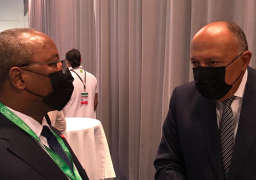 شكري يبحث مع وزير خارجية النيجر الملف الثنائي والقضايا الاقليمية