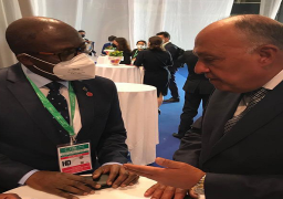 شكري يبحث مع وزيري خارجية الكونغو الديمقراطية وكينيا قضية سد النهضة