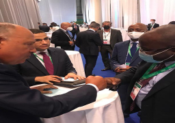 شكري يبحث مع وزير خارجية جمهورية غينيا القضايا الأفريقية المشتركة