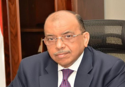 وزير التنمية المحلية: مصر تسعى لتعزيز استراتيجية الاقتصاد الأخضر والاعتماد على الطاقة النظيفة وتبنى نمط المدن الخضراء