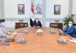 الرئيس يطلع علي مخطط إنشاء أول مصنع لدباغة الجلود بالشرق الأوسط