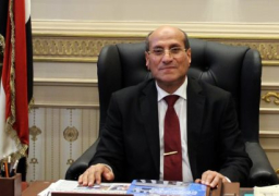 رئيس القضاء الأعلى: ثورة 30 يونيو بعثت الأمل في حياة كريمة