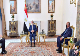 السيسي يستقبل نائب رئيس الوزراء ووزير الخارجية وشئون المغتربين بالأردن