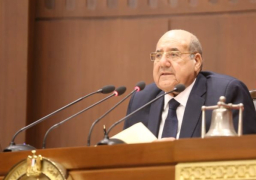 عبد الرازق: السيسي قاد مصر لتقدم مذهل في ظروف وتحديات شديدة الصعوبة