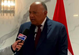 وزير الخارجية: الدبلوماسية المصرية نجحت فى إبراز موقف مصر دوليا بضرورة التوصل لاتفاق حول سد النهضة