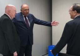 وزير الخارجية يلتقي مندوبي روسيا والصين بمجلس الأمن ويؤكد موقف مصر الثابت من سد النهضة و يؤكد ضرورة اضطلاع مجلس الأمن بمسئولياته |صور