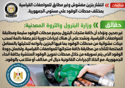 الحكومة تنفي انتشار بنزين مغشوش بمحطات الوقود على مستوى الجمهورية