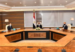 الرئيس يستقبل رئيس شركة بيكتل العالمية