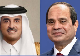 الرئيس السيسي يجرى اتصالا هاتفيا بأمير دولة قطر للتهنئة بعيد الأضحى