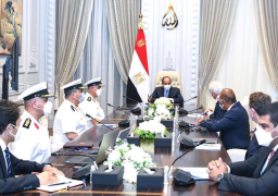 الرئيس السيسي يستقبل مالك شركات لورسن الألمانية للصناعات البحرية