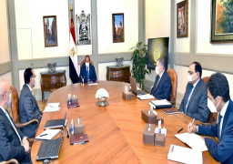 الرئيس السيسي يوجه بمواصلة تطوير الأصول التابعة لقطاع الأعمال