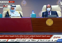 مصر تتسلم رئاسة المؤتمر الوزاري لمنظمة التعاون الإسلامي الخاص بالمرأة