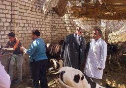 الزراعة: تحصين أكثر من 3 مليون رأس ماشية ضد “القلاعية والوادي المتصدع”