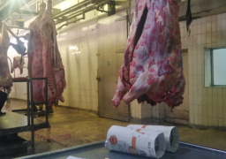 الزراعة: “المجازر” تستقبل 20 الف اضحية خلال ايام العيد