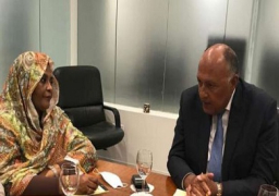 شكري يتابع مع نظيرته السودانية التحضير لجلسة مجلس الأمن حول سد النهضة