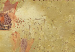 افتتاح معرض براح لعبد العزيز الجندى بقاعة الباب سليم 27 يوليو