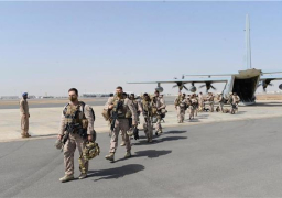 تنفيذ مناورات أمريكية جورجية مشتركة لردع الهجمات المفاجئة حتى 6 أغسطس