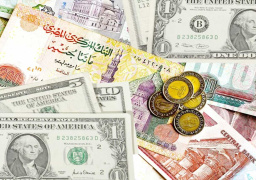 استقرار سعر الدولار الأمريكى أمام الجنية المصرى