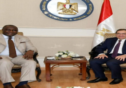 وزير البترول يستقبل رئيس مؤسسة التمويل الأفريقية
