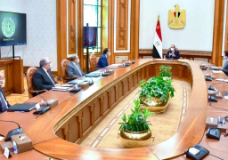 الرئيس السيسي يوجه بإعادة صياغة استغلال أصول وأراضى مراكز البحوث الزراعية
