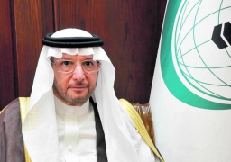 “التعاون الإسلامي” تدين إطلاق ميليشيا الحوثي طائرة مفخخة باتجاه بالسعو