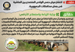 الحكومة تنفي انتشار مرض حمى الوادي المتصدع بين الماشية ببعض المحافظات