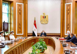 الرئيس يستقبل مالك شركة لورسن الالمانية العالمية للصناعات البحرية