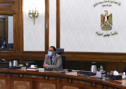 مدبولي يؤكد أهمية مجال ريادة الأعمال والشركات الناشئة في دعم تنافسية وتنوع الاقتصاد