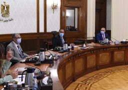 رئيس الوزراء يتابع إجراءات تنفيذ مشروعات تحلية مياه البحر