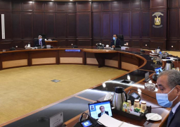 القرارات الصادرة اليوم عن مجلس الوزراء