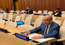 مصر تشارك في مجموعة عمل مجلس الأمن لمنع وتسوية النزاعات في أفريقيا