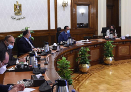 مدبولي يناقش مؤشرات أداء الأعمال ومقترحات تحسين مؤشر سداد الضرائب