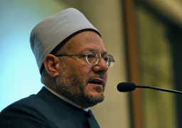 علام: مصر لا زالت تبهر العالم بإنجازاتها تحت قيادة الرئيس السيسي