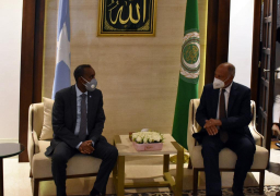 أبو الغيط يبلغ رئيس وزراء الصومال التزام الجامعة العربية بدعم جهود الاستقرار والتنمية في الصومال