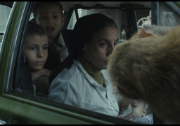 7 أفلام مصرية فى الدورة الخامسة لمهرجان الجونة السينمائى