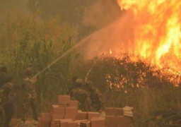 الجيش الجزائري يدفع بمروحيات ضخمة في عمليات إخماد حرائق الغابات