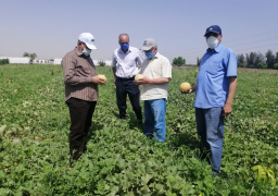 ” الزراعة ” تصدر إرشادات للمزراعين لمواجهة الحرارة المرتفعة والرطوبة