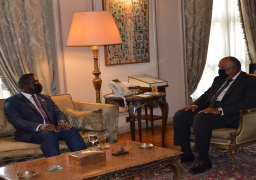 بالصور..وزير الخارجية يبحث مع نظيره السيراليوني تعزيز العلاقات