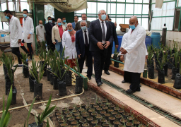 وزير الزراعة يوجه بزيادة انتاج شتلات النخيل لخدمة المشروعات القومية