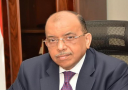 بالصور .. وزير التنمية المحلية يعلن تسليم معدات المحطتين الوسيطتين بديرب نجم والإبراهيمية بالشرقية